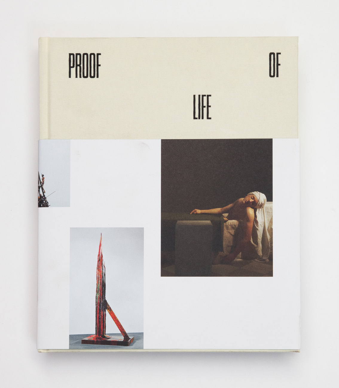 Photo of book Proof of Life