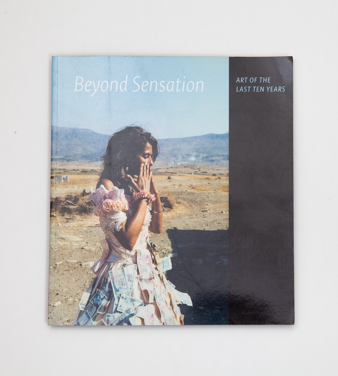 Photograph of the cover of Beyond Sensation