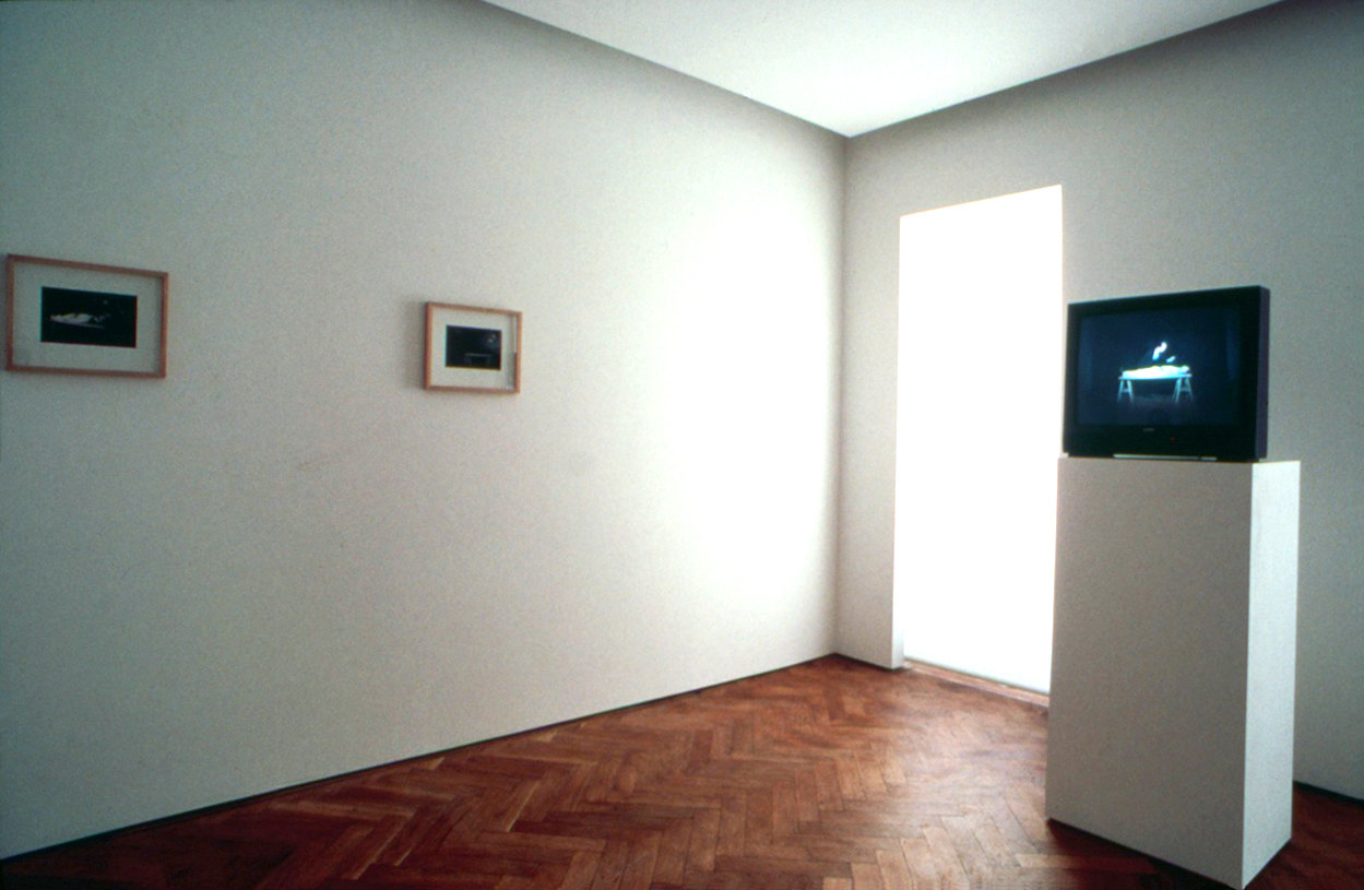 Photo shows installation photos of exhibition