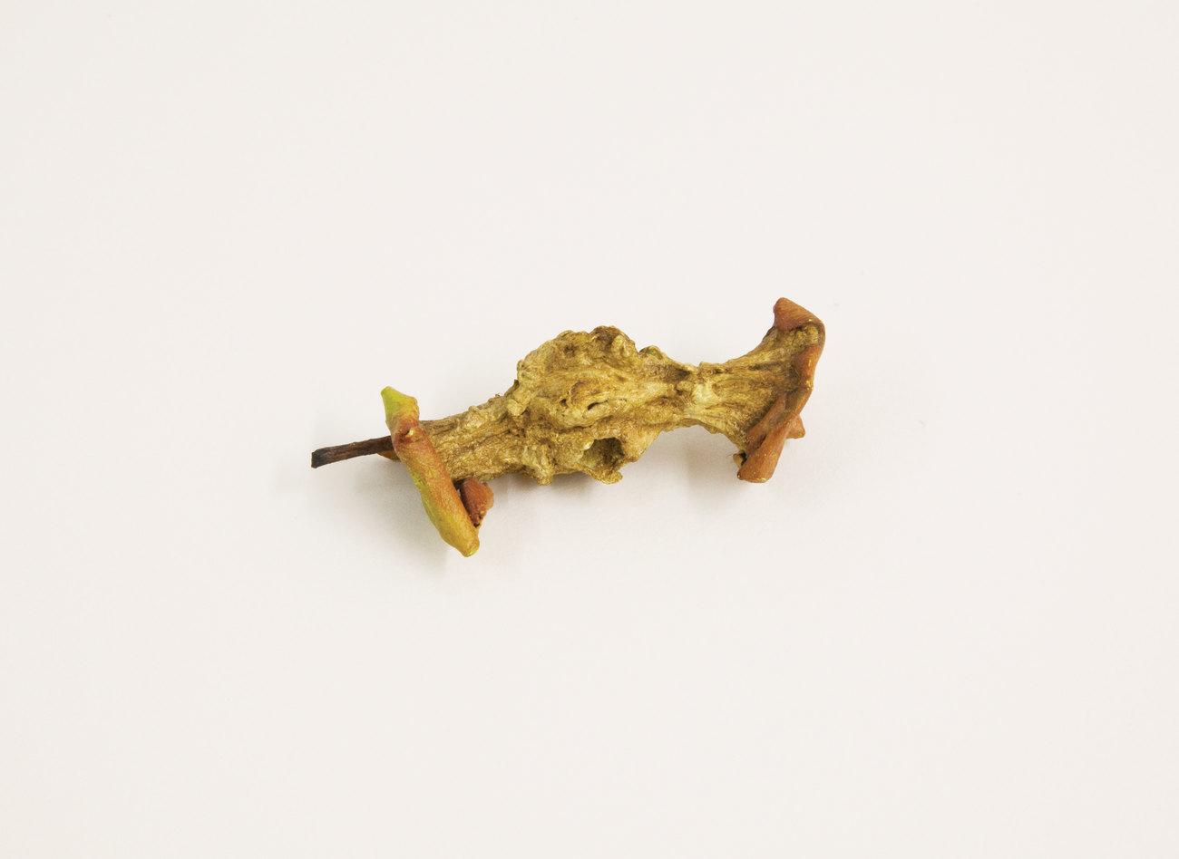 image shows a painted bronze sculpture of an eaten apple core by Gavin Turk
